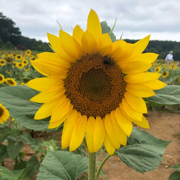 Meet your Posher, Katie - Picture 7 of 12